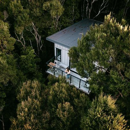 Treetop Tranquility At Rekindle Tree Houses Opua ภายนอก รูปภาพ
