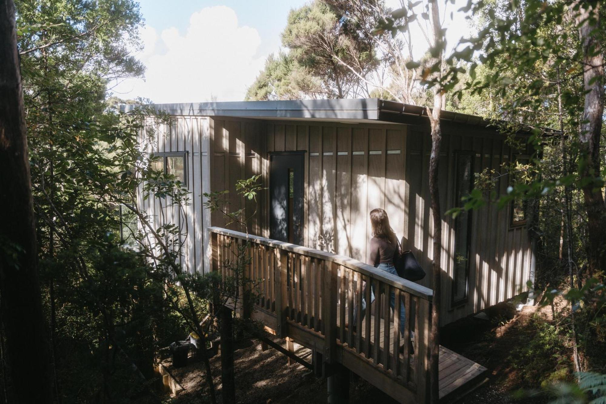 Treetop Tranquility At Rekindle Tree Houses Opua ภายนอก รูปภาพ