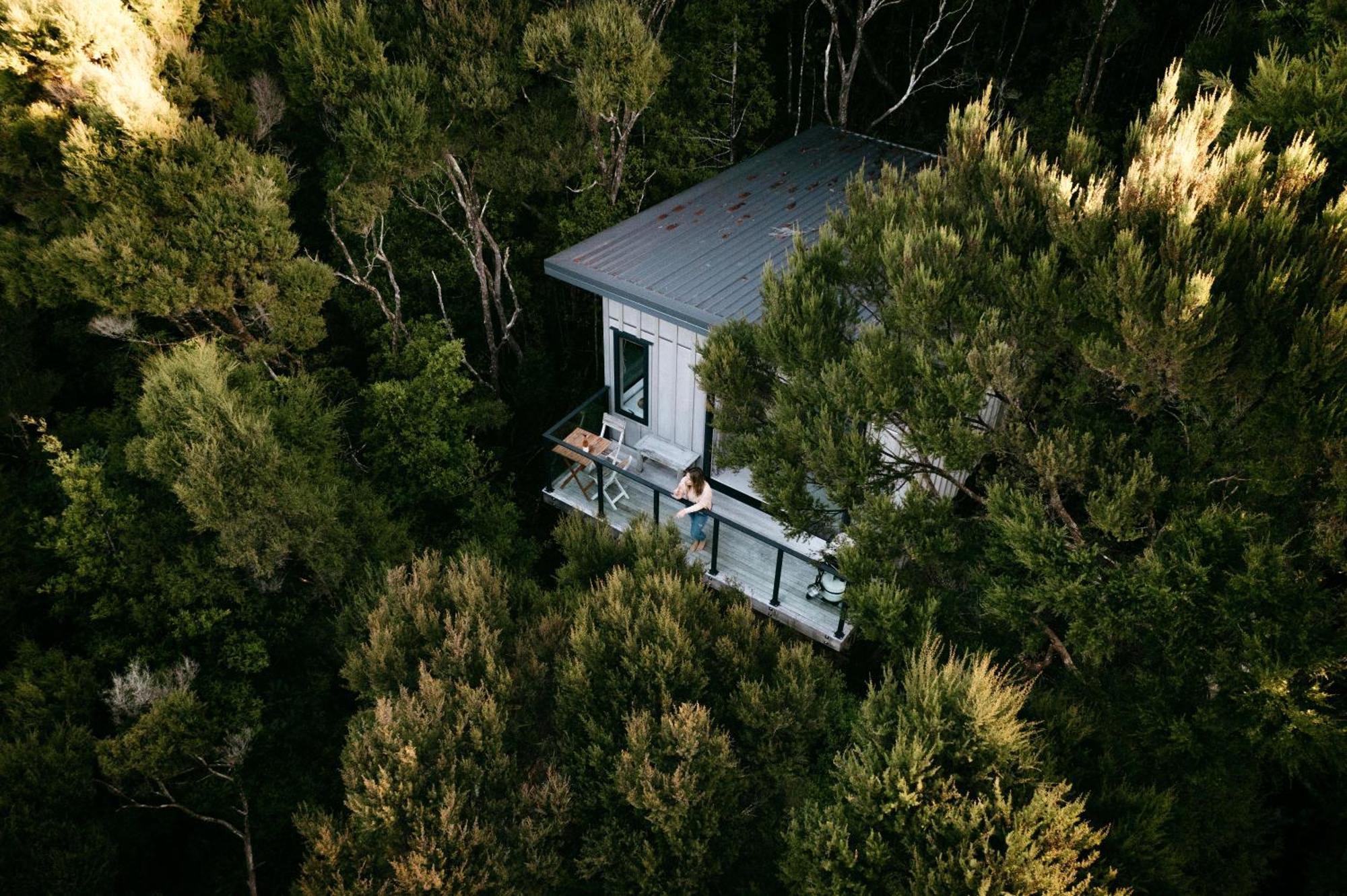 Treetop Tranquility At Rekindle Tree Houses Opua ภายนอก รูปภาพ