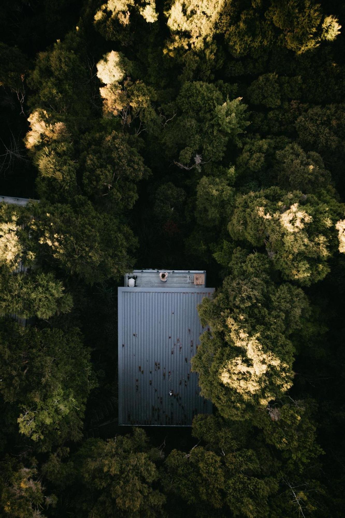 Treetop Tranquility At Rekindle Tree Houses Opua ภายนอก รูปภาพ