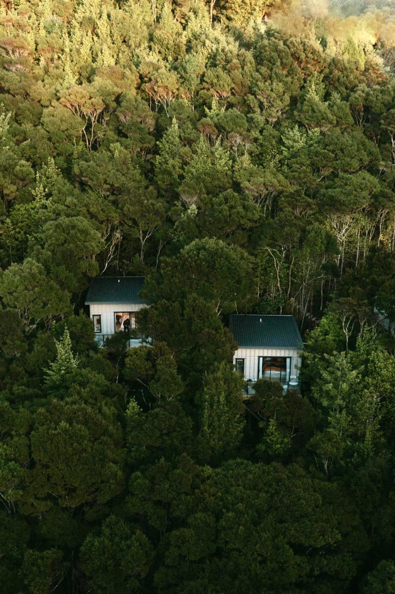 Treetop Tranquility At Rekindle Tree Houses Opua ภายนอก รูปภาพ